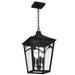 Quoizel - JAX1910WT - Four Light Outdoor Hanging Lantern - Jaxon - Western Bronze