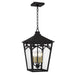 Quoizel - JAX1910WT - Four Light Outdoor Hanging Lantern - Jaxon - Western Bronze