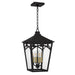 Quoizel - JAX1910WT - Four Light Outdoor Hanging Lantern - Jaxon - Western Bronze