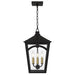 Quoizel - JAX1910WT - Four Light Outdoor Hanging Lantern - Jaxon - Western Bronze
