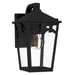 Quoizel - JAX8407WT - LED Outdoor Wall Lantern - Jaxon - Western Bronze