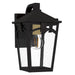Quoizel - JAX8407WT - LED Outdoor Wall Lantern - Jaxon - Western Bronze