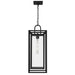 Quoizel - JAY1909MBK - One Light Outdoor Hanging Lantern - Jayce - Matte Black