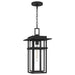 Quoizel - MORG1910EK - One Light Outdoor Hanging Lantern - Morgan - Earth Black