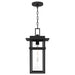 Quoizel - MORG1910EK - One Light Outdoor Hanging Lantern - Morgan - Earth Black