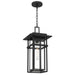 Quoizel - MORG1910EK - One Light Outdoor Hanging Lantern - Morgan - Earth Black