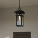 Quoizel - MORG1910EK - One Light Outdoor Hanging Lantern - Morgan - Earth Black