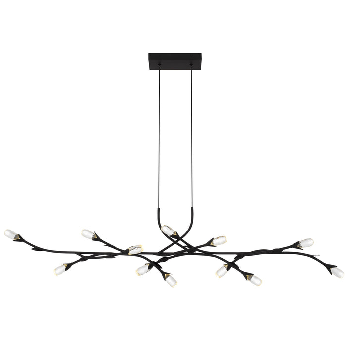 Quoizel - PCCOR1250MBK - LED Island Pendant - Cora - Matte Black