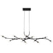 Quoizel - PCCOR1250MBK - LED Island Pendant - Cora - Matte Black