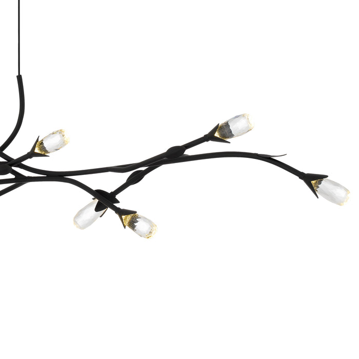 Quoizel - PCCOR1250MBK - LED Island Pendant - Cora - Matte Black