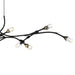 Quoizel - PCCOR1250MBK - LED Island Pendant - Cora - Matte Black