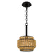 Quoizel - TET1510MBK - One Light Mini Pendant - Teton - Matte Black