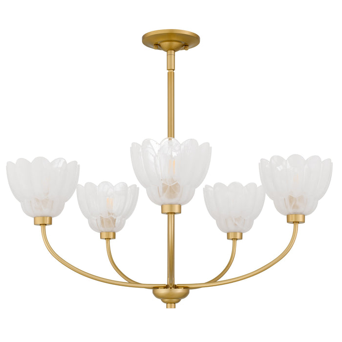 Quoizel - WHP5028BRG - Five Light Chandelier - Whitecap - Brushed Gold