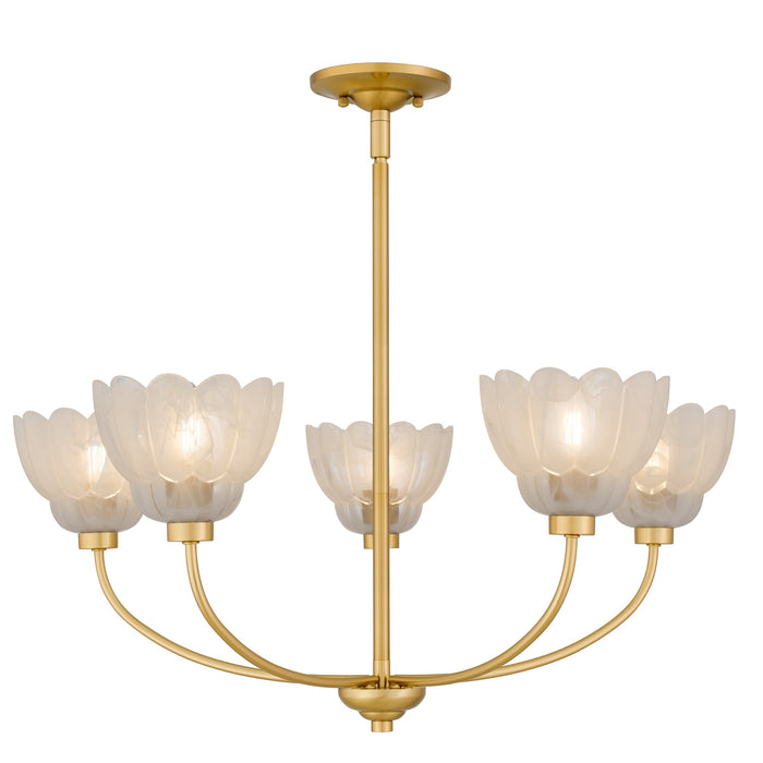Quoizel - WHP5028BRG - Five Light Chandelier - Whitecap - Brushed Gold