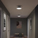 Progress Lighting - P350305-009 - Two Light Flush Mount - Avra - Brushed Nickel