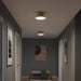 Progress Lighting - P350305-191 - Two Light Flush Mount - Avra - Brushed Gold