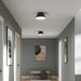 Progress Lighting - P350305-31M - Two Light Flush Mount - Avra - Matte Black