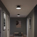 Progress Lighting - P350305-31M - Two Light Flush Mount - Avra - Matte Black
