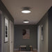 Progress Lighting - P350306-009 - Three Light Flush Mount - Avra - Brushed Nickel