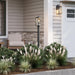 Progress Lighting - P560406-31M - One Light Outdoor Wall Mount - Cantley - Matte Black