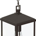 Progress Lighting - P550147-020 - One Light Outdoor Pendant - Cantley - Antique Bronze
