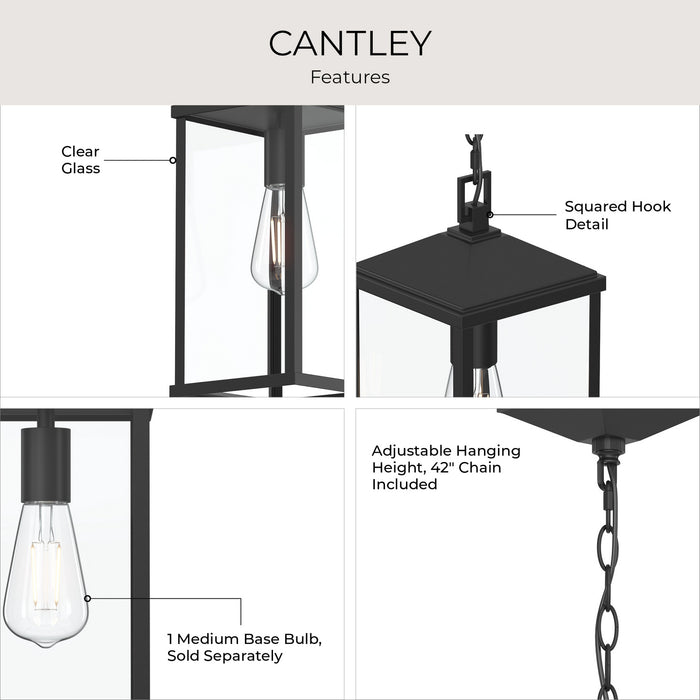 Progress Lighting - P550147-31M - One Light Outdoor Pendant - Cantley - Matte Black
