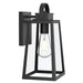 Progress Lighting - P560402-31M - One Light Outdoor Wall Mount - Hedry - Matte Black