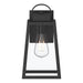 Progress Lighting - P560402-31M - One Light Outdoor Wall Mount - Hedry - Matte Black