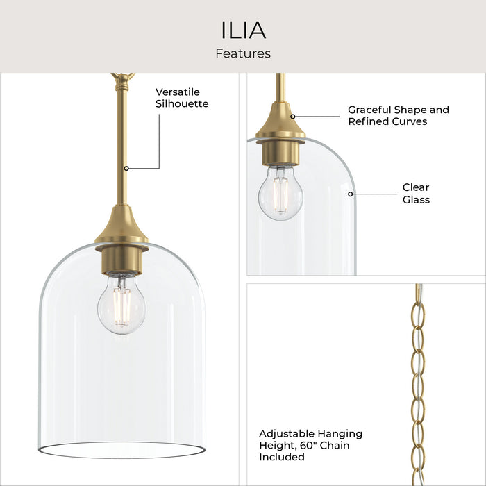 Progress Lighting - P500514-191 - One Light Pendant - Ilia - Brushed Gold