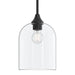 Progress Lighting - P500514-31M - One Light Pendant - Ilia - Matte Black