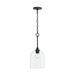 Progress Lighting - P500514-31M - One Light Pendant - Ilia - Matte Black