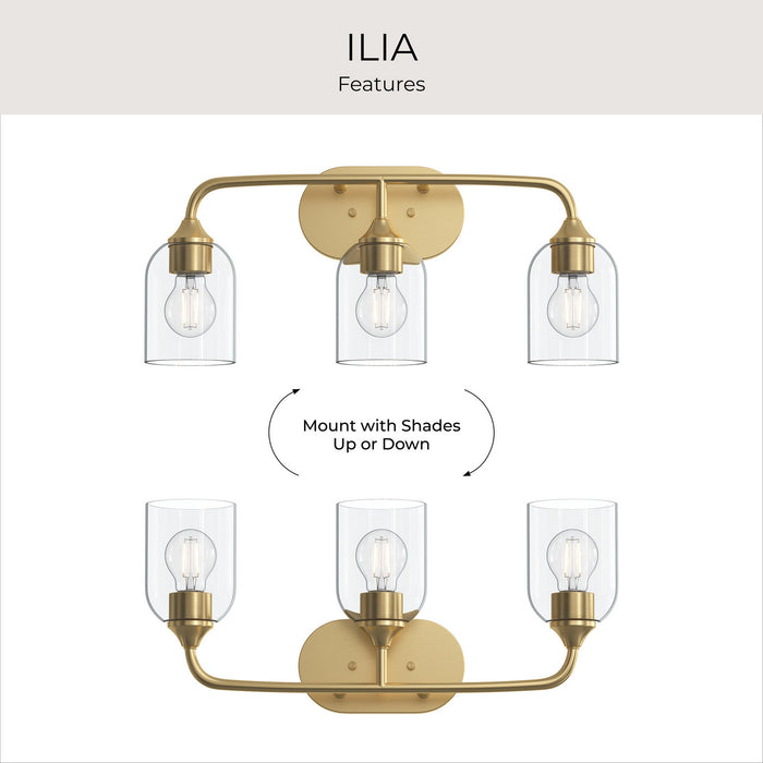 Progress Lighting - P300573-191 - Three Light Bath Vanity - Ilia - Brushed Gold