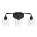 Progress Lighting - P300573-31M - Three Light Bath Vanity - Ilia - Matte Black