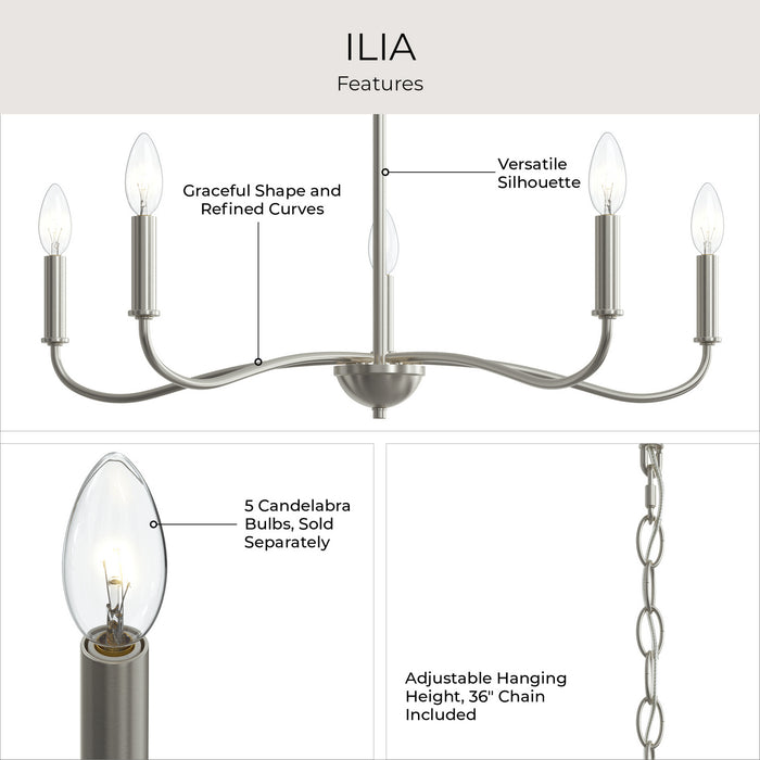Progress Lighting - P400462-009 - Five Light Chandelier - Ilia - Brushed Nickel