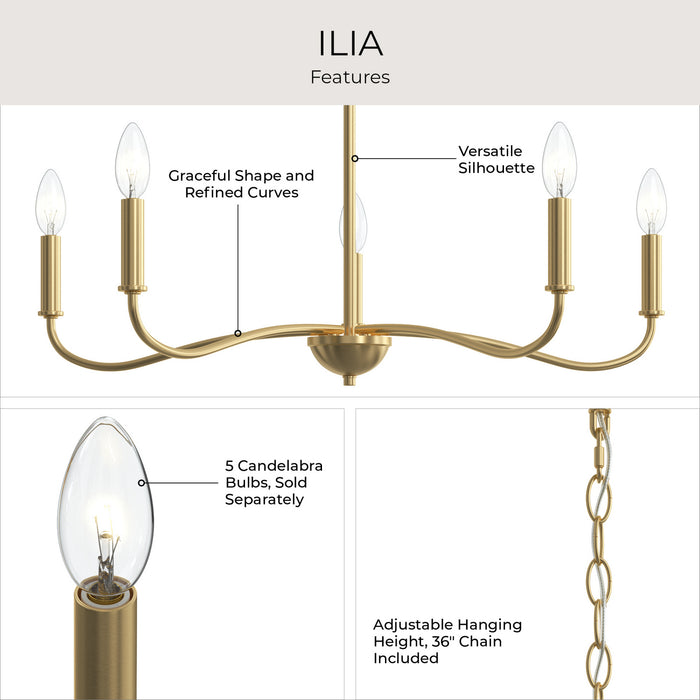 Progress Lighting - P400462-191 - Five Light Chandelier - Ilia - Brushed Gold