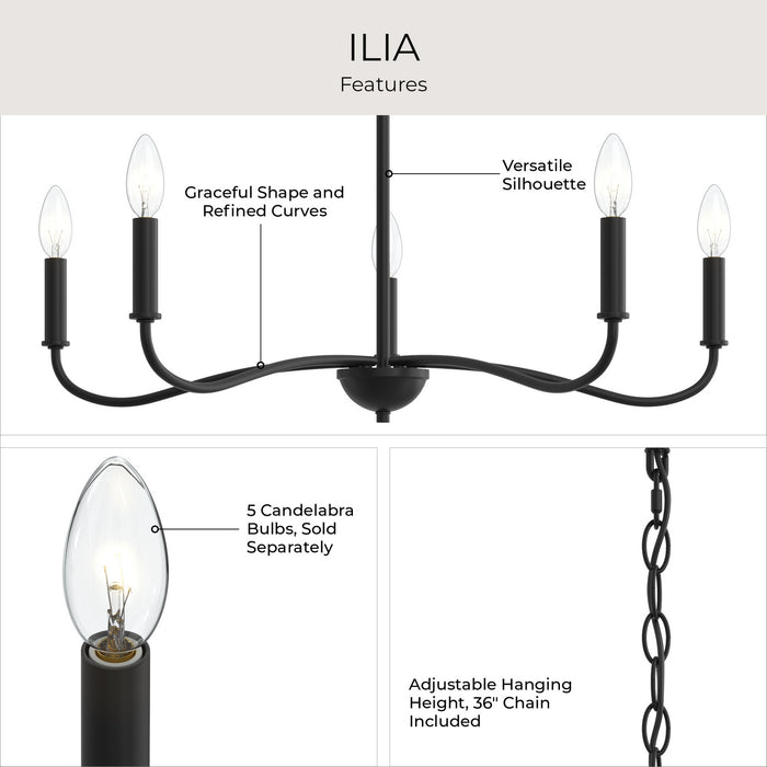 Progress Lighting - P400462-31M - Five Light Chandelier - Ilia - Matte Black