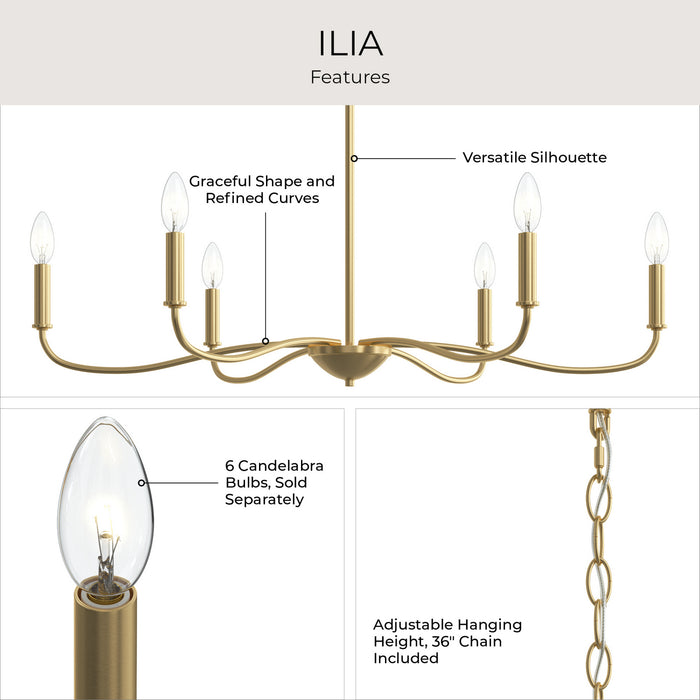 Progress Lighting - P400463-191 - Six Light Chandelier - Ilia - Brushed Gold