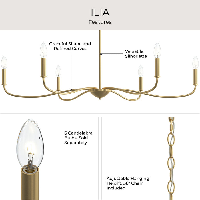 Progress Lighting - P400464-191 - Six Light Chandelier - Ilia - Brushed Gold