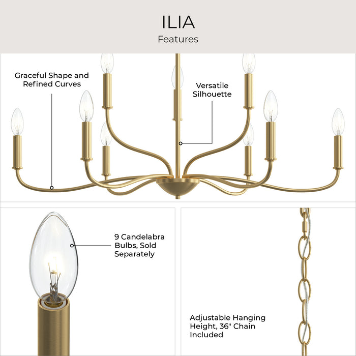 Progress Lighting - P400465-191 - Nine Light Chandelier - Ilia - Brushed Gold