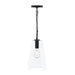 Progress Lighting - P500511-31M - One Light Pendant - Jheni - Matte Black