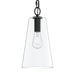 Progress Lighting - P500511-31M - One Light Pendant - Jheni - Matte Black