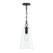 Progress Lighting - P500511-31M - One Light Pendant - Jheni - Matte Black