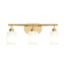 Progress Lighting - P300579-191 - Three Light Bath Vanity - Reines - Brushed Gold