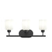 Progress Lighting - P300579-31M - Three Light Bath Vanity - Reines - Matte Black