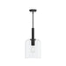 Progress Lighting - P500509-31M - One Light Pendant - Reines - Matte Black