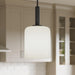 Progress Lighting - P500516-31M - One Light Pendant - Reines - Matte Black