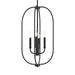 Progress Lighting - P500510-31M - Four Light Foyer Pendant - Reines - Matte Black
