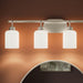 Progress Lighting - P300580-009 - Four Light Bath Vanity - Reines - Brushed Nickel