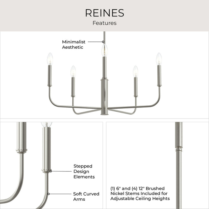 Progress Lighting - P400446-009 - Five Light Chandelier - Reines - Brushed Nickel