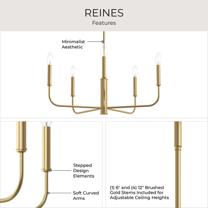 Progress Lighting - P400446-191 - Five Light Chandelier - Reines - Brushed Gold